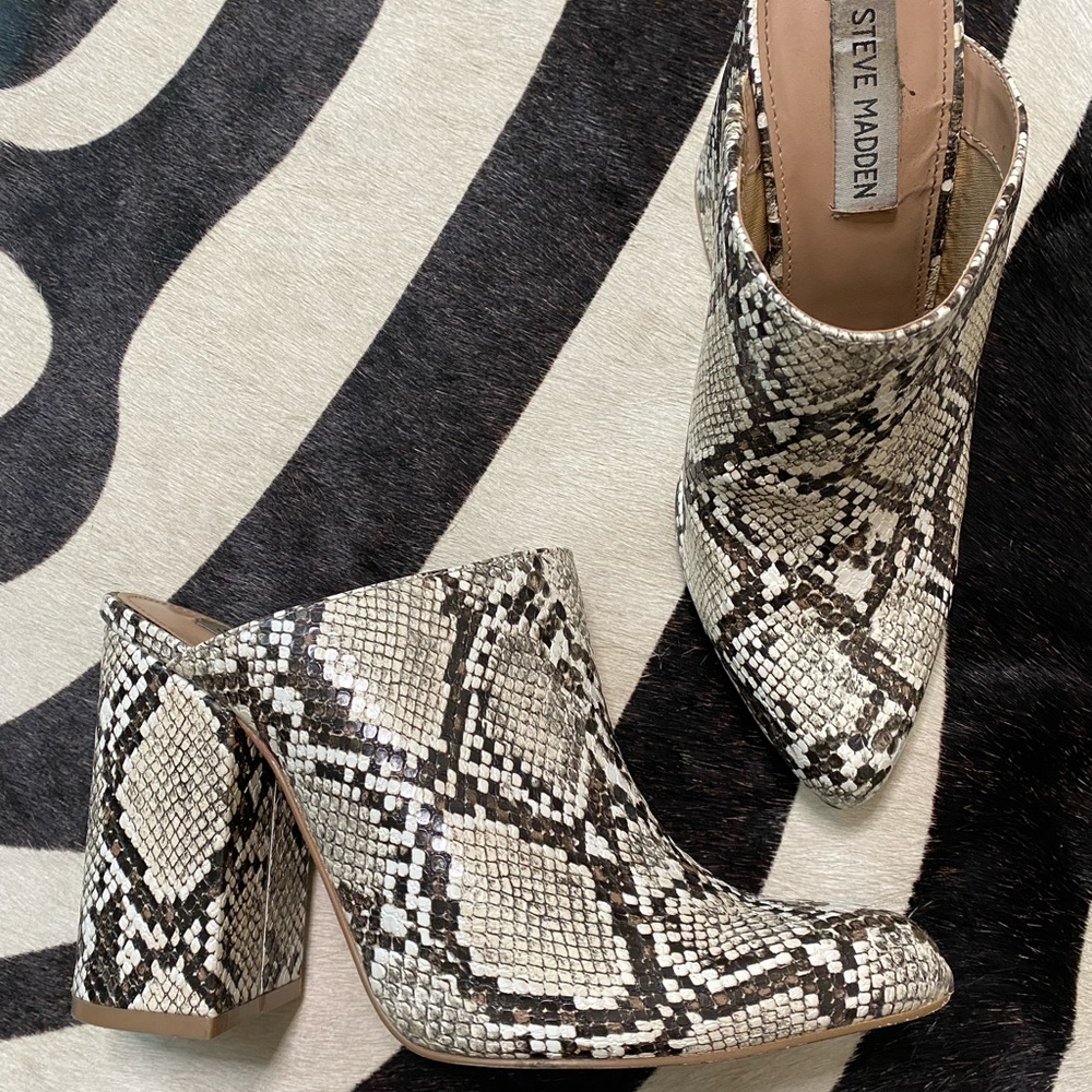 snakeskin booties steve madden